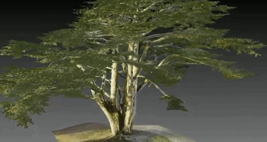 Screenshot 2026-01-20 123615