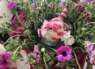 100 years of tv – in flowers