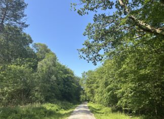 News in brief 29 May