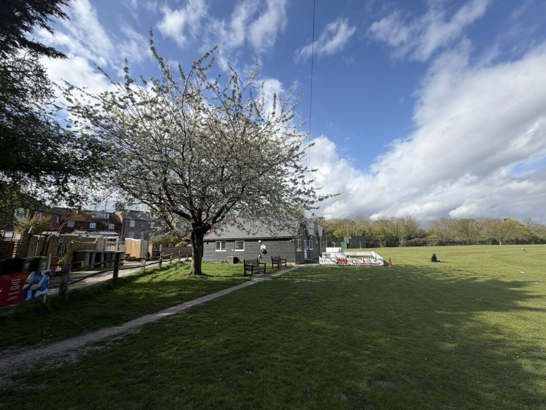 rye-salts-130426-2
