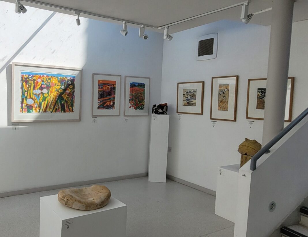 Rye Art Gallery print show