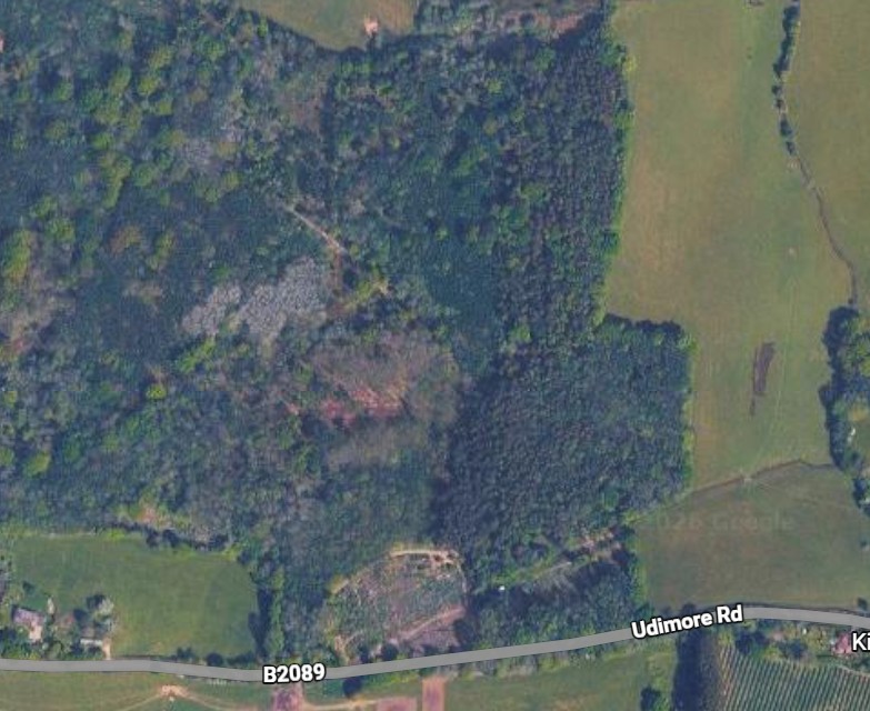 Udimore_Road_woodland