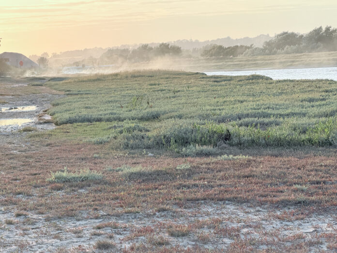 Fires at Rye Harbour