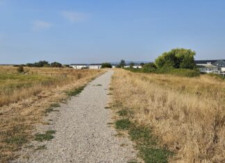 Heatwave at Rye Harbour Nature Reserve